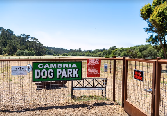Creston Park Off Leash Area photo 2